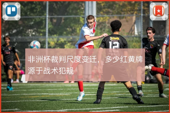 非洲杯裁判尺度变迁，多少红黄牌源于战术犯规