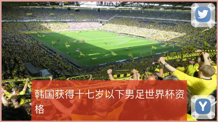 韩国获得十七岁以下男足世界杯资格